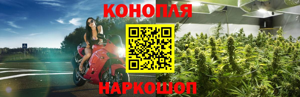 Новый Уренгой  Бошки Шишки планчик  Шишки марихуана MAZAR  Вход с VPN 